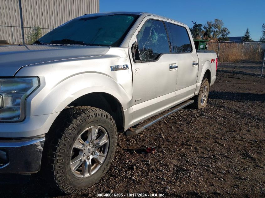 2016 Ford F-150 Xlt VIN: 1FTEW1EG4GFA62783 Lot: 40616395