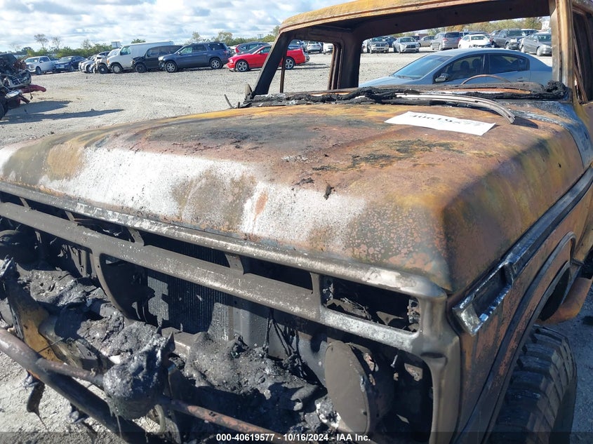 1976 Ford F250 VIN: F26YRA50441 Lot: 40619577