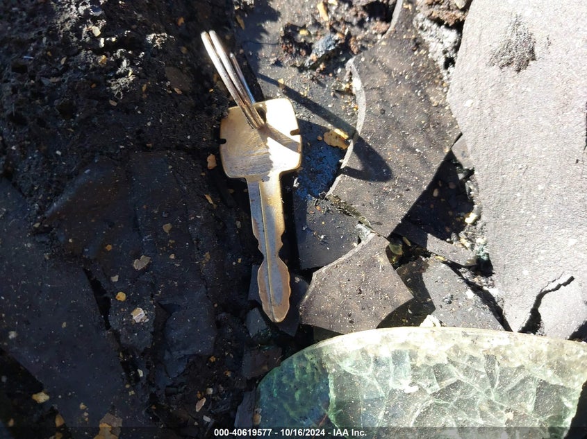 1976 Ford F250 VIN: F26YRA50441 Lot: 40619577