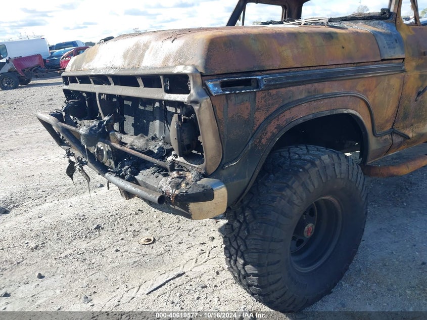 1976 Ford F250 VIN: F26YRA50441 Lot: 40619577