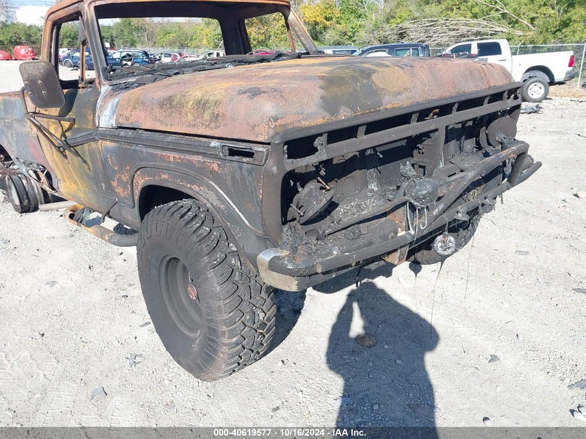 1976 Ford F250 VIN: F26YRA50441 Lot: 40619577