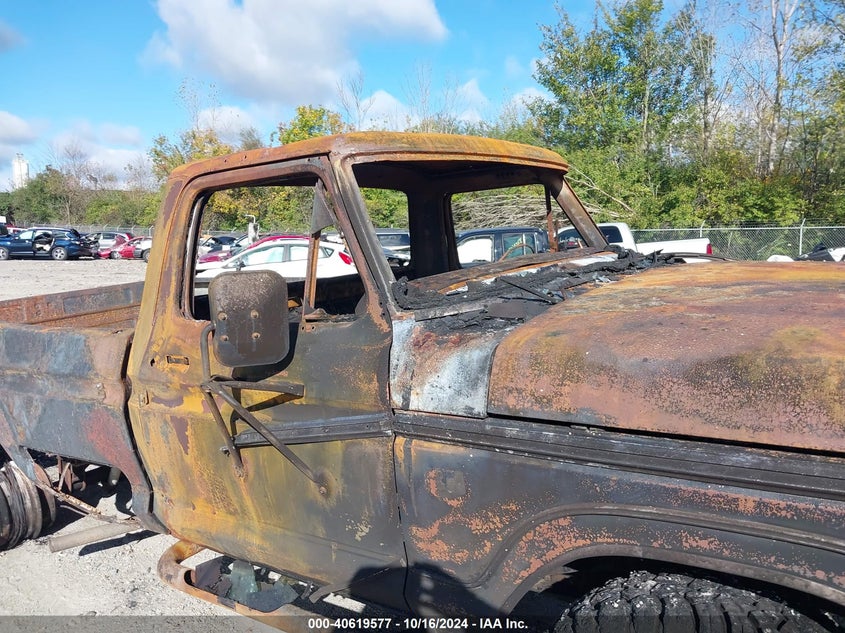 1976 Ford F250 VIN: F26YRA50441 Lot: 40619577