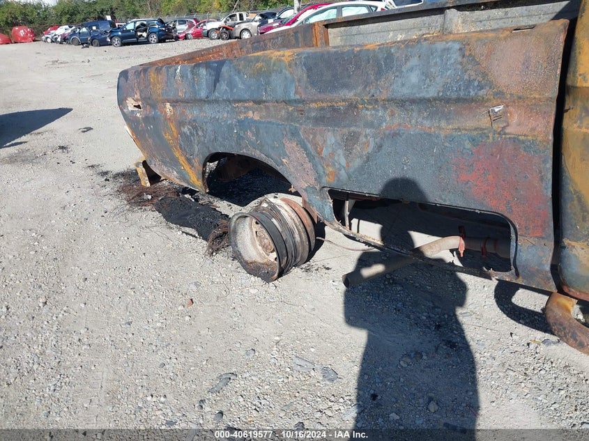 1976 Ford F250 VIN: F26YRA50441 Lot: 40619577