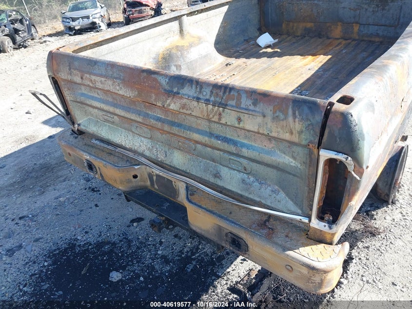 1976 Ford F250 VIN: F26YRA50441 Lot: 40619577