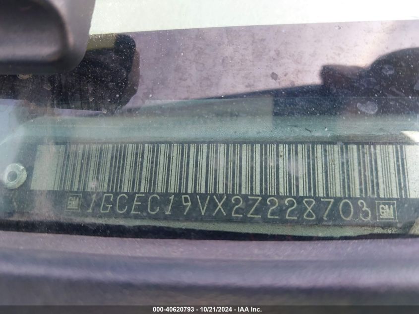 2002 Chevrolet Silverado 1500 Ls VIN: 1GCEC19VX2Z228703 Lot: 40620793
