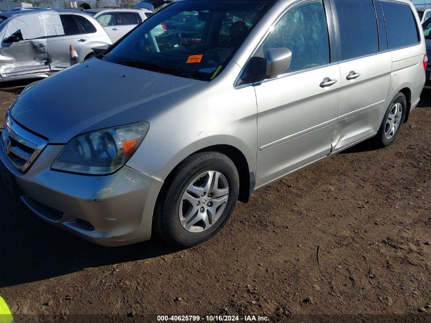 2007 Honda Odyssey Ex-L VIN: 5FNRL38667B406546 Lot: 40625799