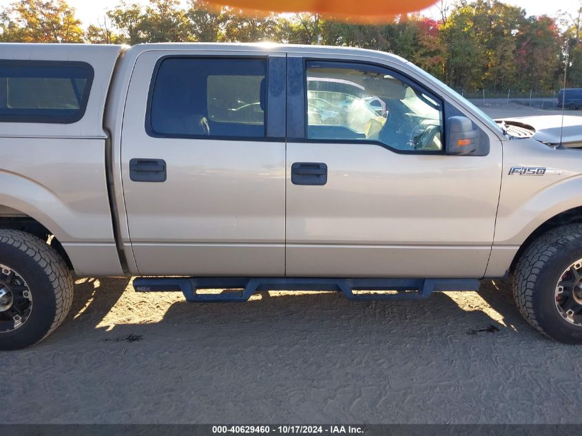 2010 Ford F150 Supercrew VIN: 1FTEW1E83AFA81955 Lot: 40629460