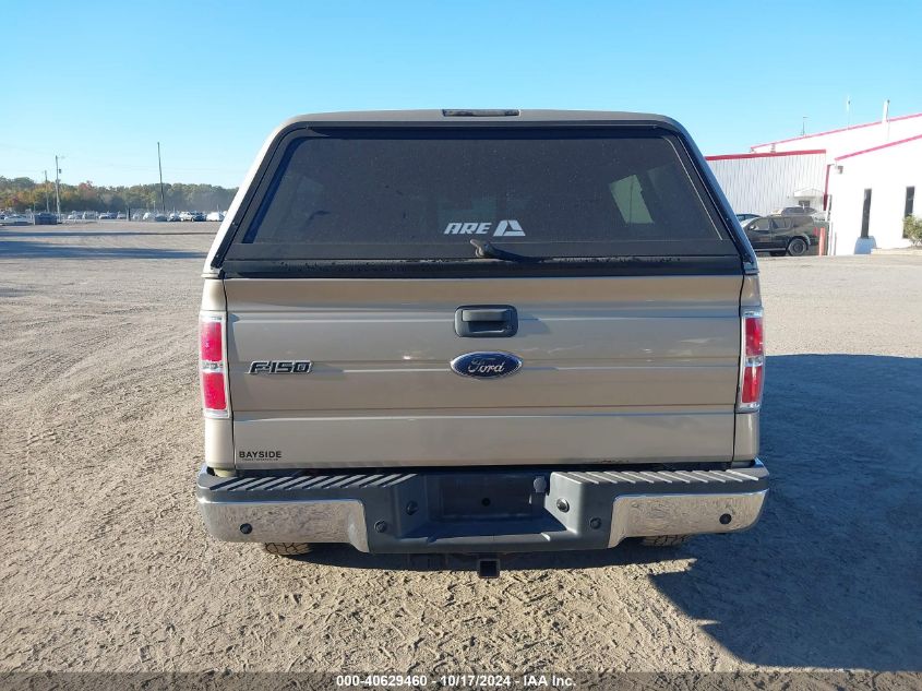 2010 Ford F150 Supercrew VIN: 1FTEW1E83AFA81955 Lot: 40629460