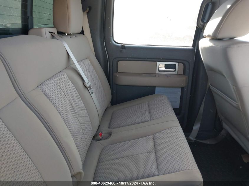 2010 Ford F150 Supercrew VIN: 1FTEW1E83AFA81955 Lot: 40629460