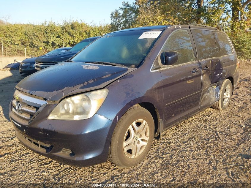 2006 Honda Odyssey Ex-L VIN: 5FNRL38646B105210 Lot: 40633437