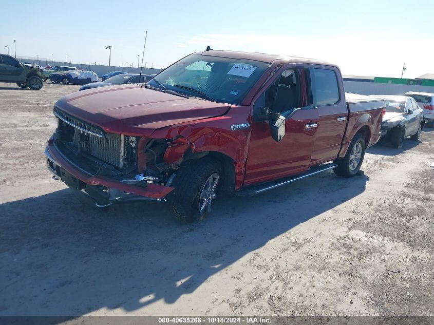 2019 FORD F-150 XLT - 1FTEW1E44KKE92058