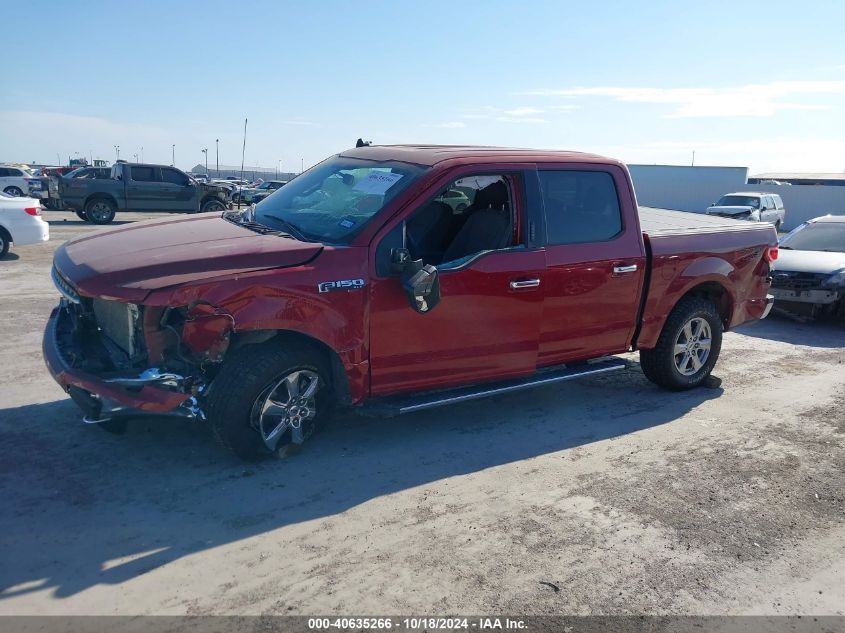 2019 FORD F-150 XLT - 1FTEW1E44KKE92058