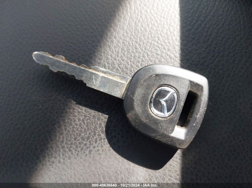 2010 Mazda Mazda3 I Sport VIN: JM1BL1SF7A1213790 Lot: 40636640