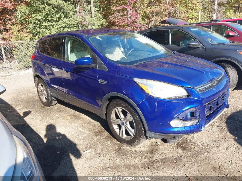 2014 FORD ESCAPE SE - 1FMCU0GX8EUD81242