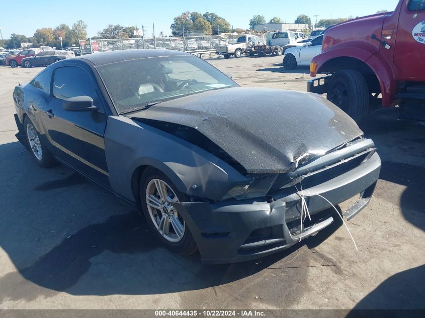 2014 Ford Mustang V6 VIN: 1ZVBP8AM8E5273019 Lot: 40644435