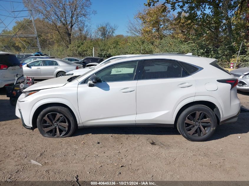 2020 Lexus Nx 300 VIN: JTJGARBZ6L2168372 Lot: 40645336