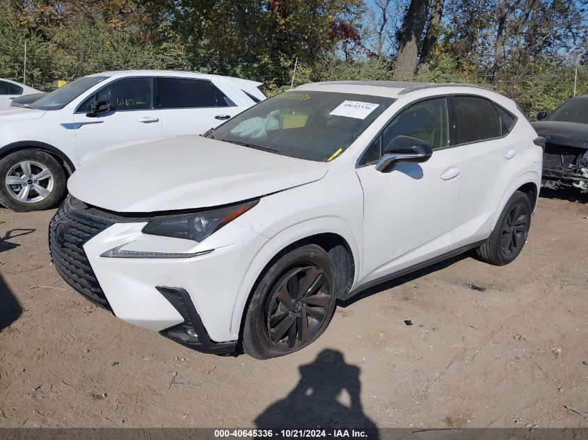 VIN JTJGARBZ6L2168372 2020 Lexus NX, 300 no.2