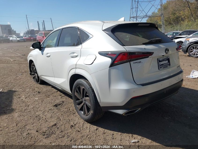 VIN JTJGARBZ6L2168372 2020 Lexus NX, 300 no.3