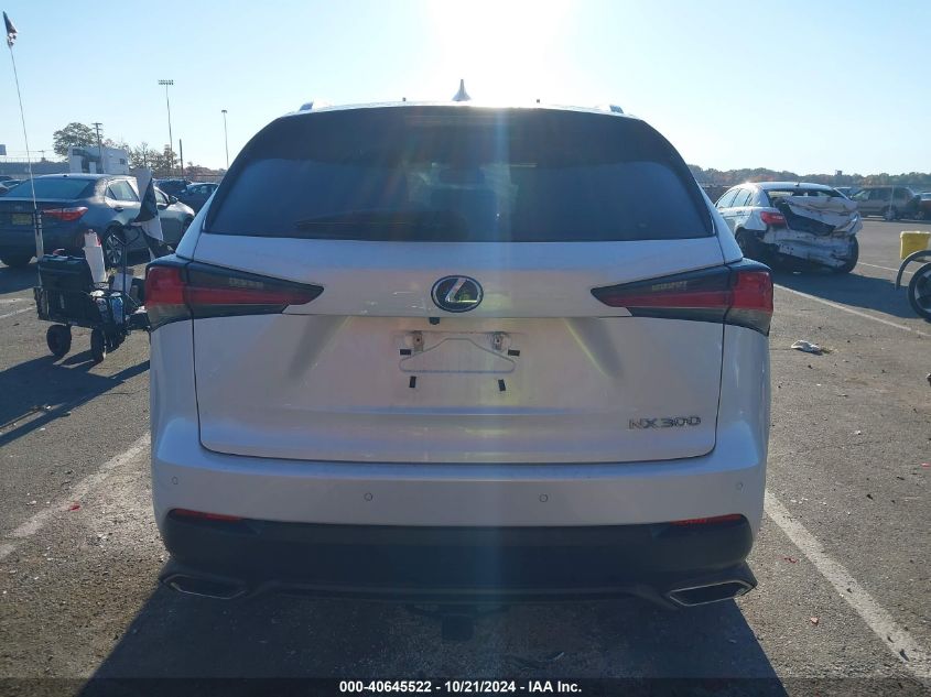 2019 Lexus Nx 300 VIN: JTJBARBZ5K2194227 Lot: 40645522