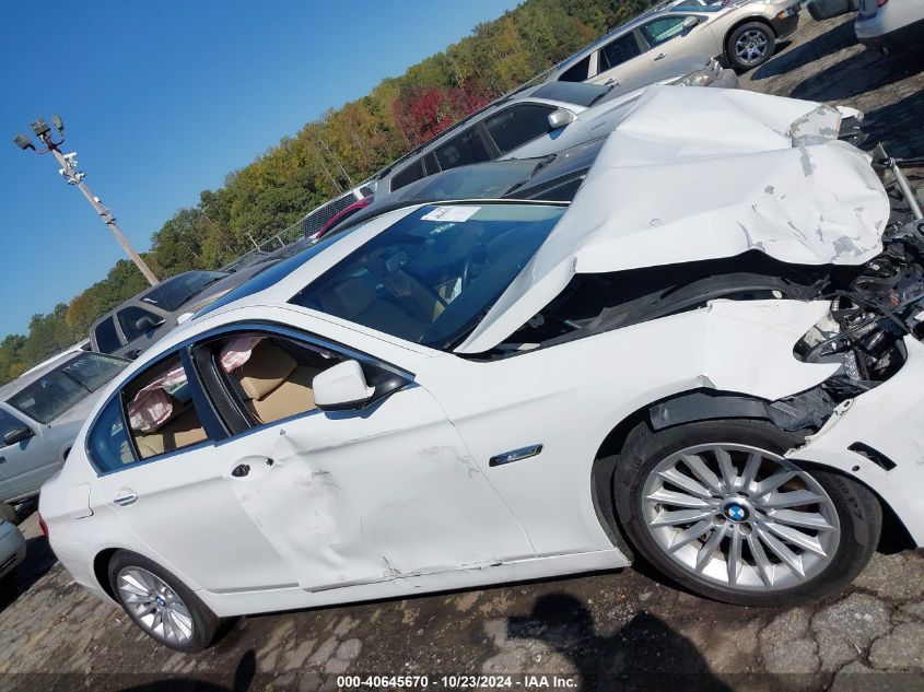 2013 BMW 535I VIN: WBAFR7C56DC829110 Lot: 40645670