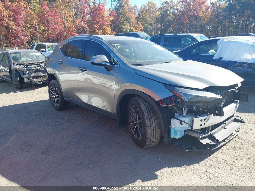 2024 Lexus NX 350