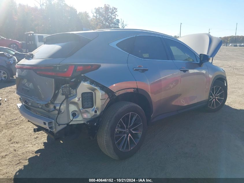 2024 LEXUS NX 350 - 2T2AGCEZ3RC045926