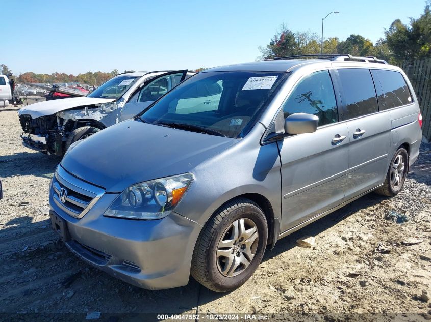 2005 Honda Odyssey Ex-L VIN: 5FNRL38735B132177 Lot: 40647552