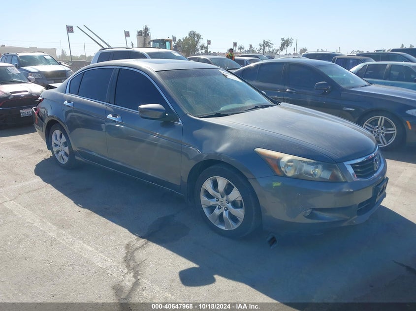2010 HONDA ACCORD VIN: 1HGCP3F84AA002984