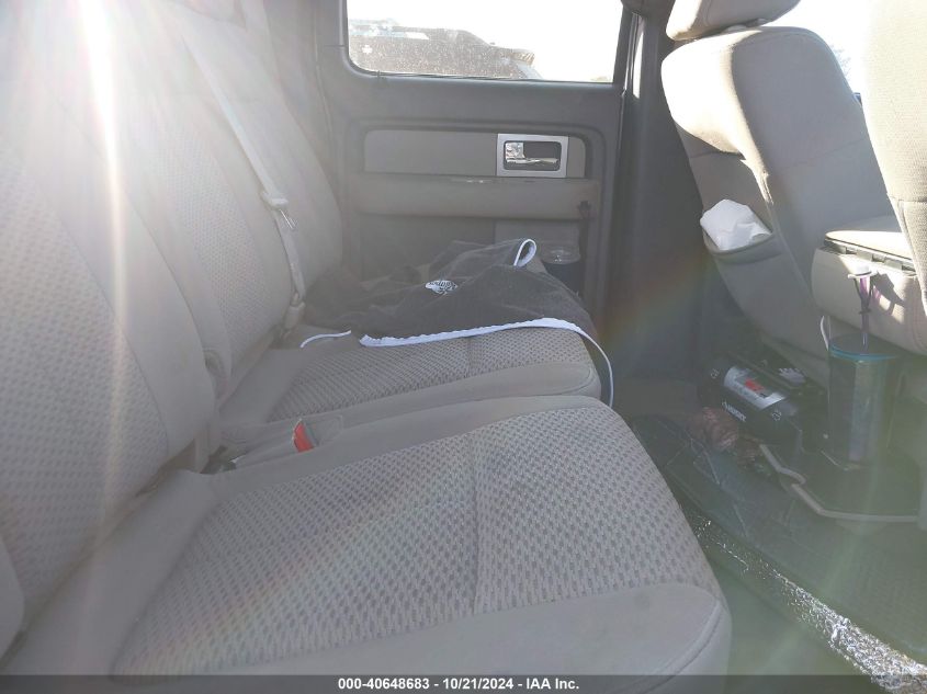 2009 Ford F-150 Xlt VIN: 1FTRW12869FA51530 Lot: 40648683