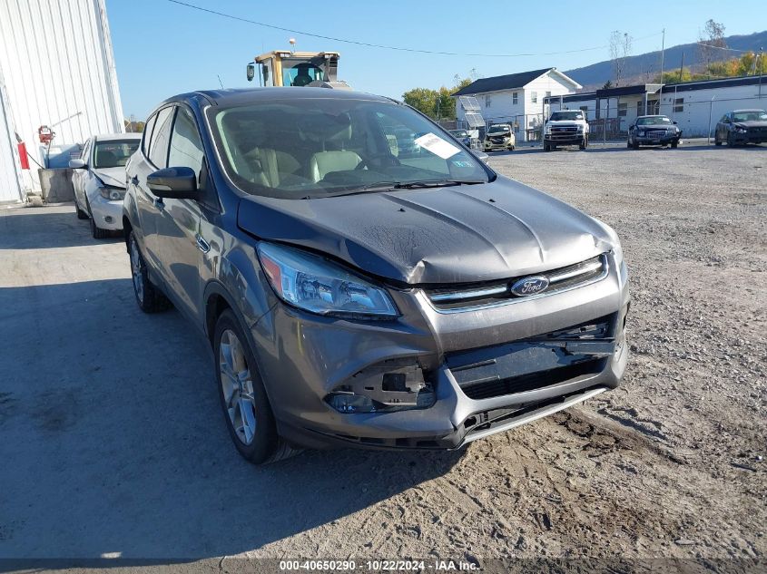 2013 FORD ESCAPE SEL - 1FMCU0H99DUA79344