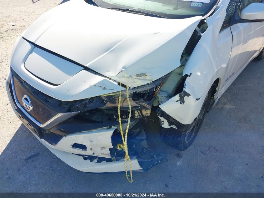 2019 Nissan Leaf Sv Plus VIN: 1N4BZ1CP3KC313547 Lot: 40650985