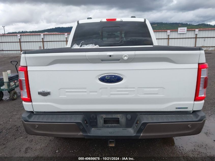 2023 Ford F-150 King Ranch VIN: 1FTFW1E88PFB82115 Lot: 40656675
