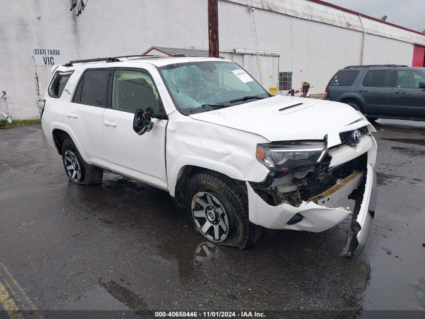 2019 Toyota 4Runner Trd Off Road Premium VIN: JTEBU5JR1K5653848 Lot: 40658446