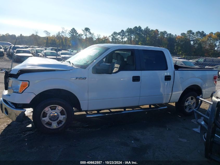 2014 Ford F-150 Xlt VIN: 1FTFW1CF1EFB86621 Lot: 40662557
