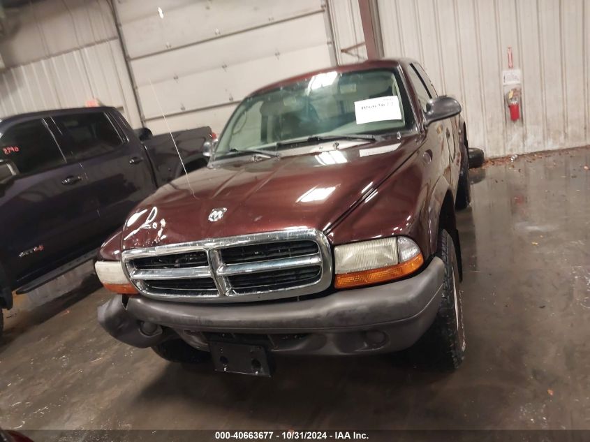 2004 Dodge Dakota VIN: 1D7HG12KX4S699429 Lot: 40663677