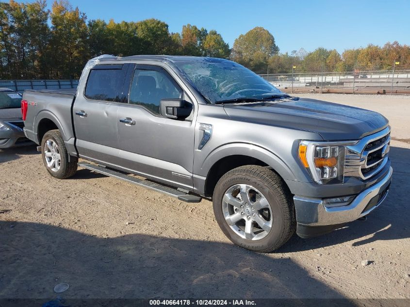 2023 FORD F-150 XLT - 1FTFW1EDXPFC84772