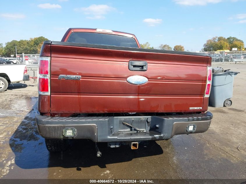 2013 Ford F-150 Xlt VIN: 1FTFX1EF6DFA71683 Lot: 40664572