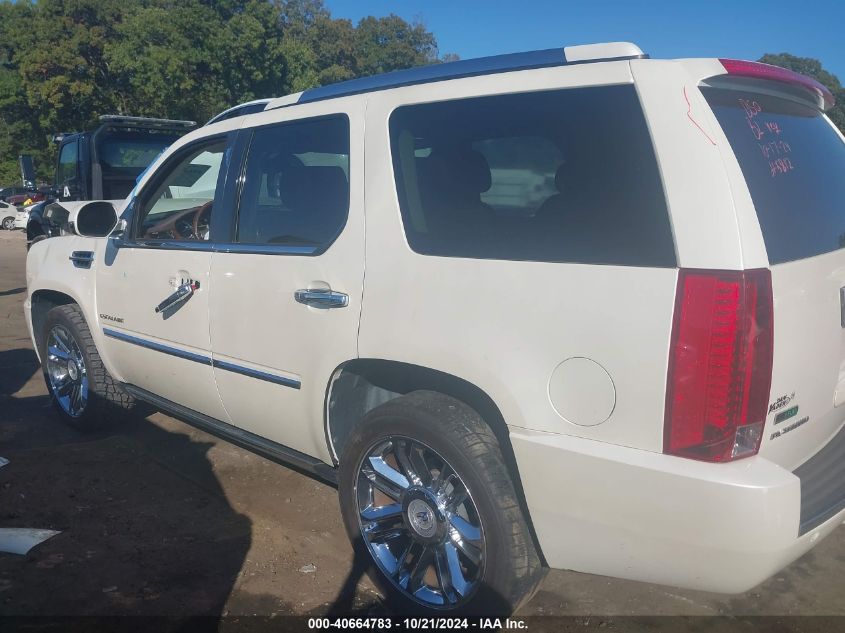 2010 Cadillac Escalade Platinum Edition VIN: 1GYUCDEF0AR235812 Lot: 40664783