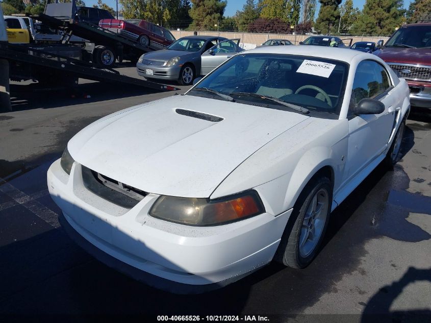 1999 Ford Mustang VIN: 1FAFP4043XF135616 Lot: 40665526