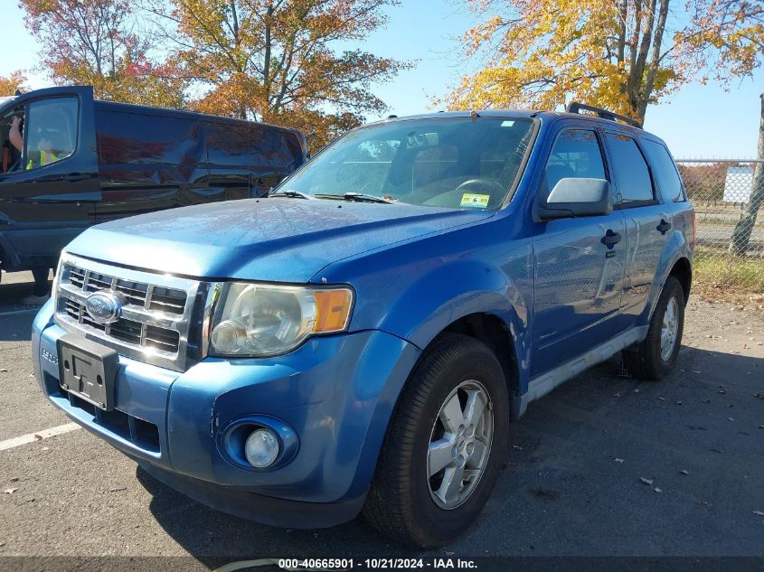 2009 Ford Escape Xlt VIN: 1FMCU03G39KC19607 Lot: 40665901