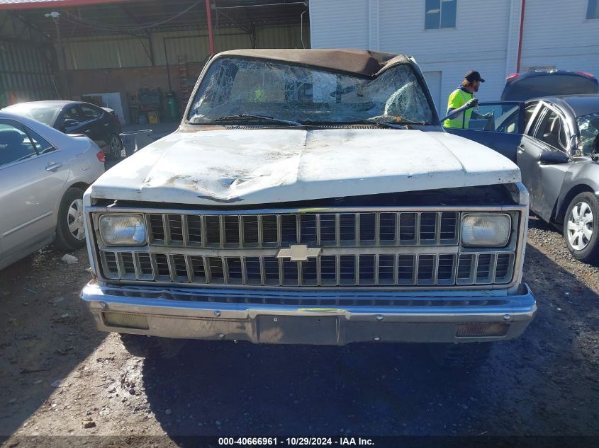 1981 Chevrolet K10 VIN: 1GCEK14D5BF358228 Lot: 40666961