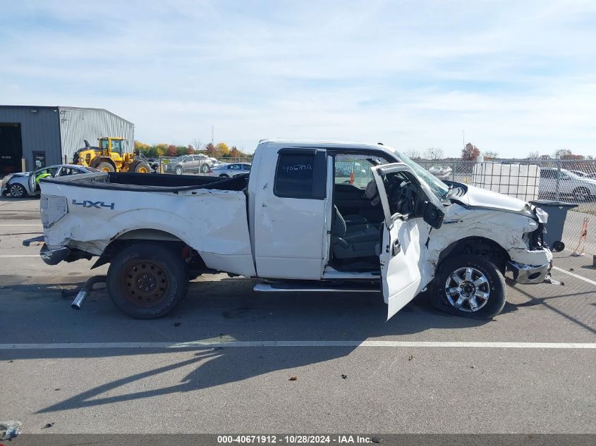 2013 Ford F-150 Xlt VIN: 1FTFX1EF1DFB65986 Lot: 40671912