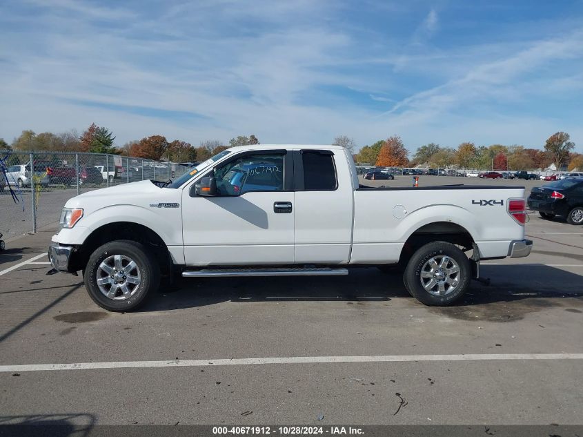 2013 Ford F-150 Xlt VIN: 1FTFX1EF1DFB65986 Lot: 40671912