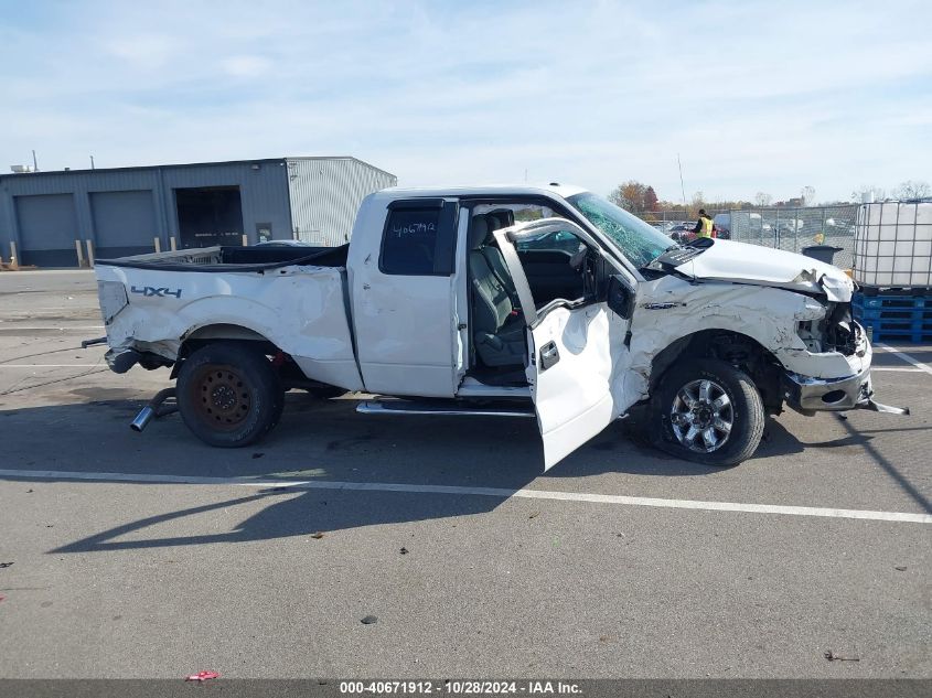 2013 Ford F-150 Xlt VIN: 1FTFX1EF1DFB65986 Lot: 40671912