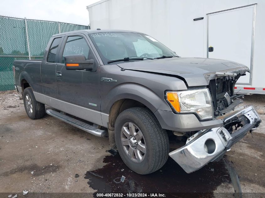 2013 FORD F-150 XLT - 1FTFX1ET3DFA17408