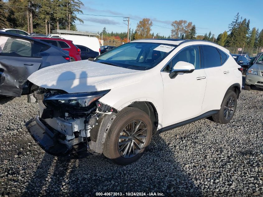 VIN JTJGGCEZXR5009661 2024 LEXUS NX 350 no.2