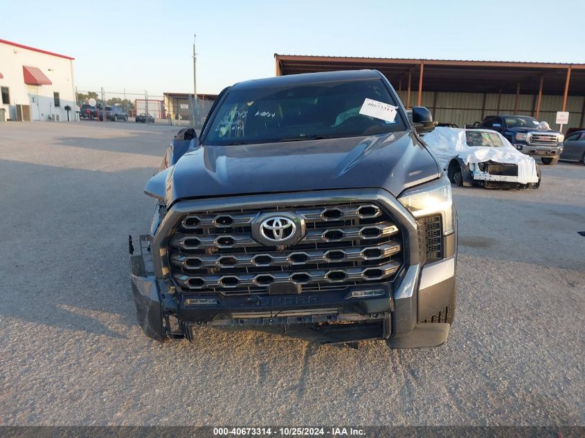 2023 Toyota Tundra 2Wd Platinum VIN: 5TFNA5AB0PX020248 Lot: 40673314