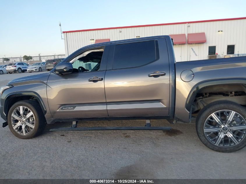 2023 Toyota Tundra 2Wd Platinum VIN: 5TFNA5AB0PX020248 Lot: 40673314