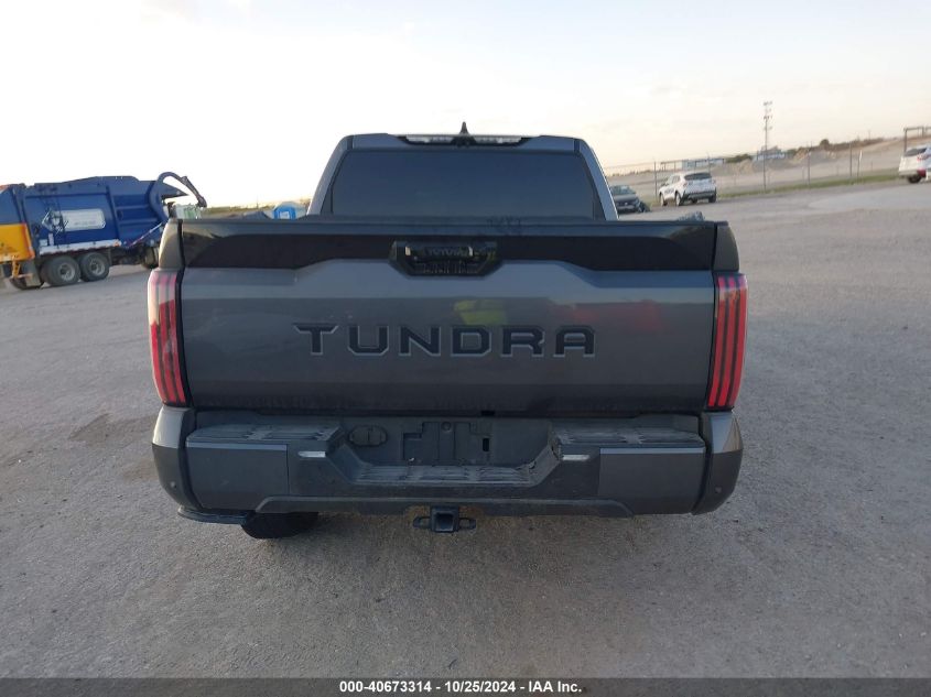 2023 Toyota Tundra 2Wd Platinum VIN: 5TFNA5AB0PX020248 Lot: 40673314