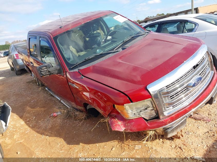 2013 FORD F-150 XLT - 1FTFW1EF1DFA85512